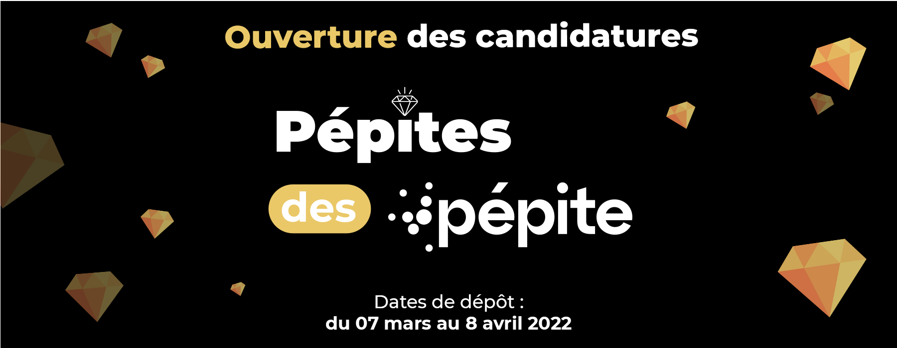 Bannière Candidatures Pépites des Pépite