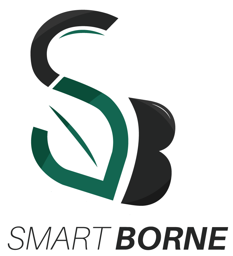 Logo Smart Borne